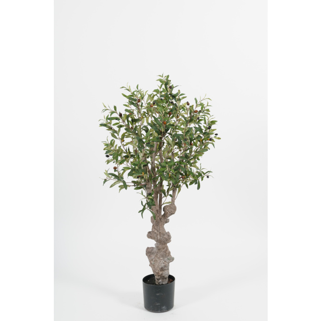 Drzewko oliwne 120cm - 1