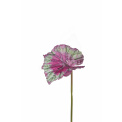 Kwiat begonia różowy 10cm - 1