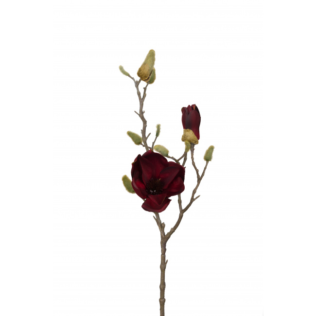 Magnolia Branch Burgundy 60cm