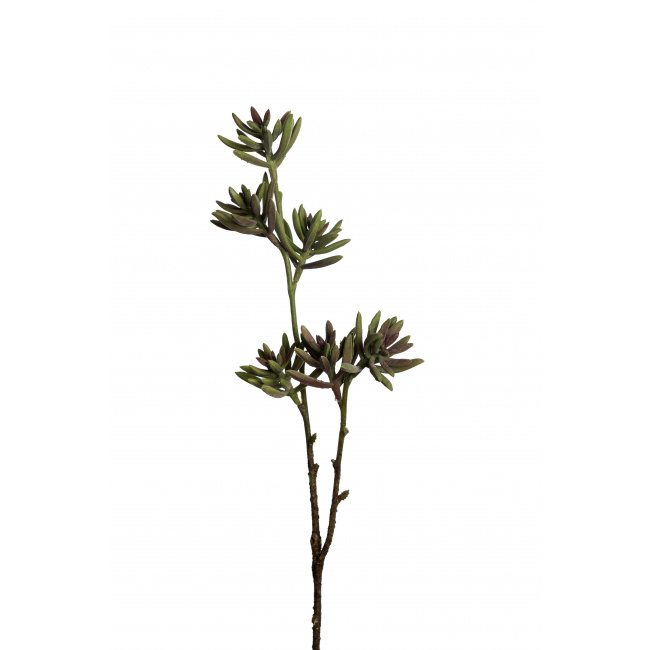 Succulent Branch 48cm