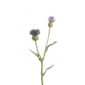 Kwiat ostropest gałązka 54cm - 1
