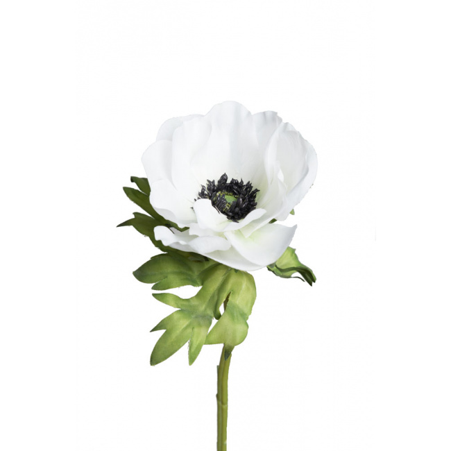 Kwiat zawilec biały 43cm