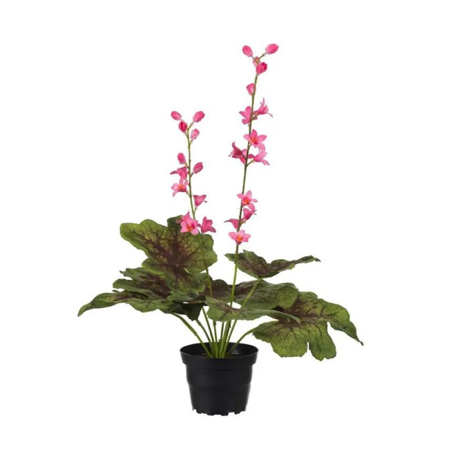 Astilbe Flower 45cm