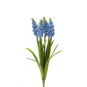 Kwiat szafirek drobnokwiatowy 30cm - 1