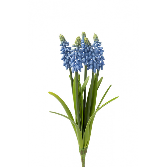 Kwiat szafirek drobnokwiatowy 30cm
