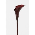 Calla Lily Flower Burgundy - 1