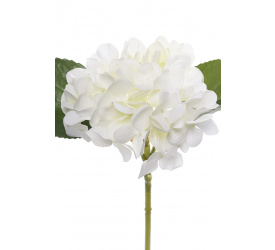 Kwiat hortensja biała 25cm