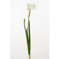 Kwiat narcyz biały 35cm - 1