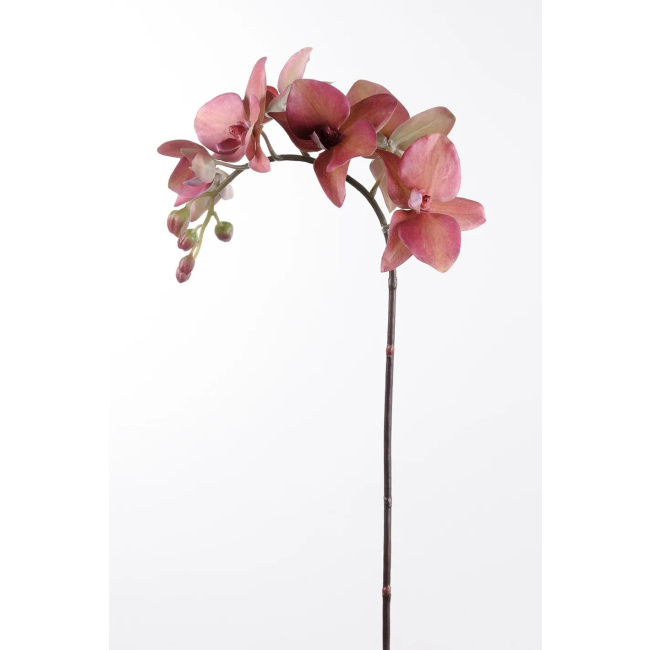 Burgundy Orchid Flower Branch 60cm