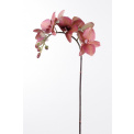 Burgundy Orchid Flower Branch 60cm