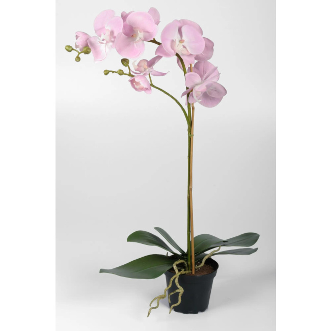 Pink Orchid Flower Pot 60cm