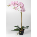 Pink Orchid Flower Pot 60cm - 1