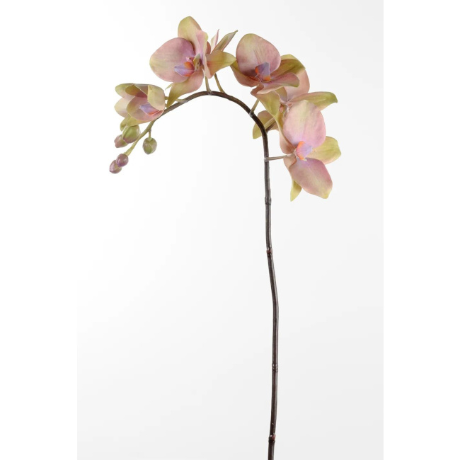Green-Pink Orchid Flower Branch 60cm