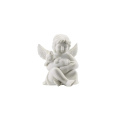 Small Angel with Cat