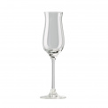 Di Vino Wine Glass 100ml for Grappa - 1