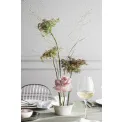 Bowl Cellini 12.5cm - 6