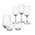 Entree Wine Glass 300ml for white wine - 7