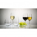 Entree Wine Glass 300ml for white wine - 6
