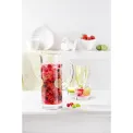 Entree Jug 1.5L - 3