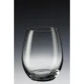 Entree Glass 480ml - 3