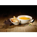 Soup Passion Dish 27.5x17.3x6.8cm - 2