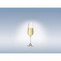 Purismo Champagne Glass 270ml - 9