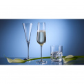 Purismo Champagne Glass 270ml - 8