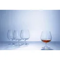 Purismo Brandy Glass 480ml - 3