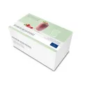 Artesano Hot Beverages Espresso Cup 110ml - 2