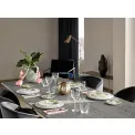 Kieliszek Octavie 280ml do wina czerwonego - 10