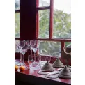 Octavie Whisky Glass 360ml - 8