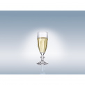 Bernadotte Champagne Glass 170ml - 3