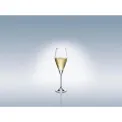 La Divina Champagne Glass 260ml - 3
