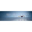La Divina Champagne Glass 260ml - 2