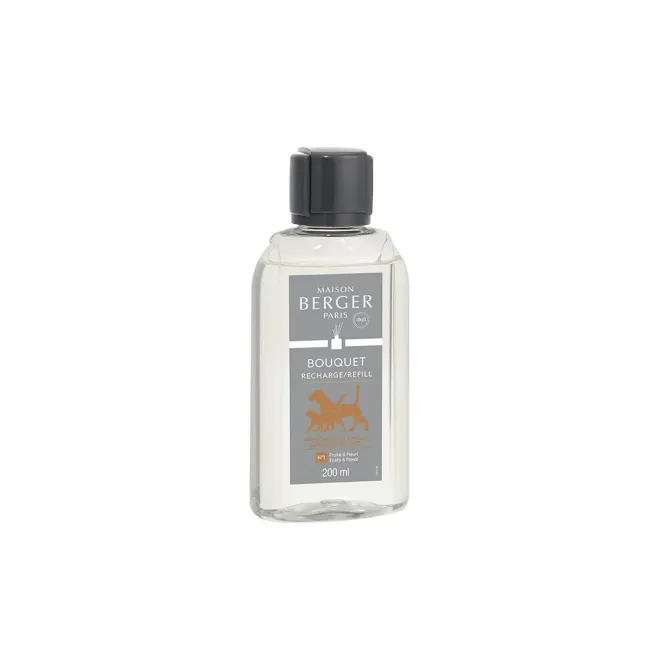 Fragrance Oil 