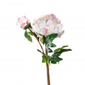 Peony Flower 55cm - 1