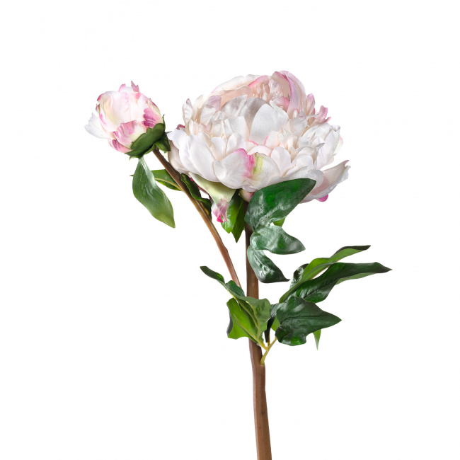 Kwiat Peonia 55cm - 1