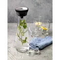 Basic 1L Carafe with Silver Cork - 7