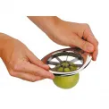 Gourmet Apple Slicer - 6