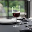NewMoon Wine Glass 410ml for Red Wine - 5