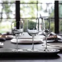 NewMoon Wine Glass 410ml for Red Wine - 4