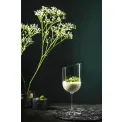 NewMoon Wine Glass 410ml for Red Wine - 6