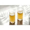 NewMoon Glass 370ml - 9