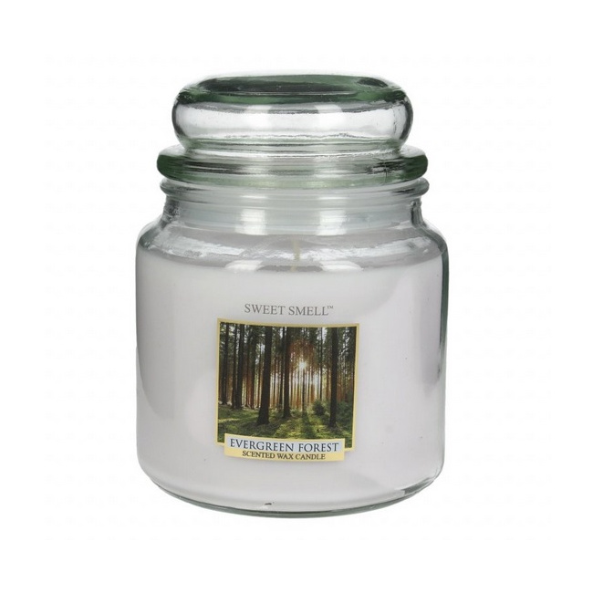 Evergreen Forest Candle 58h - 1