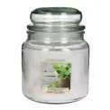 Peppermint Candle 58h - 1