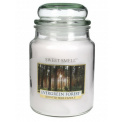 Evergreen Forest Candle 80h - 1