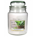 Peppermint Candle 80h