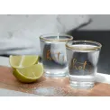 1-Piece Vodka Shot Glass - 3