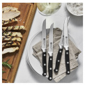 Set of 4 Professional S Steak Knives - 2