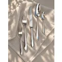 Signum Silver-Plated Table Knife - 2